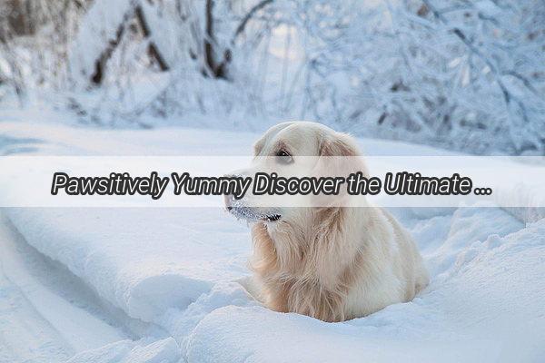 Pawsitively Yummy Discover the Ultimate DogFriendly Recipe Collection